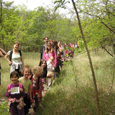 Dunaharaszti, Hétszínvirág Óvoda Zöldszíves programja, szülők bevonásával