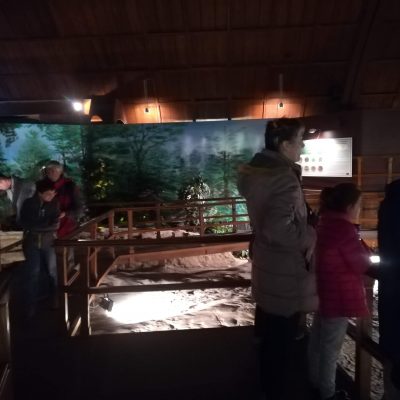 Ipolytarnóci Ősmaradványok Természetvédelmi Terület látogatása